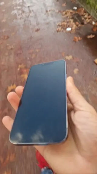 iPhone 13 Pro Max Argento