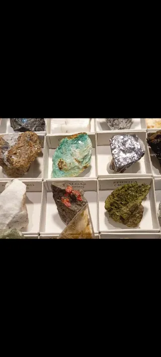 Collezione di 30 minerali