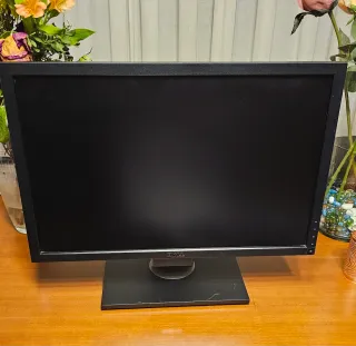 Monitor Dell 22 Negro