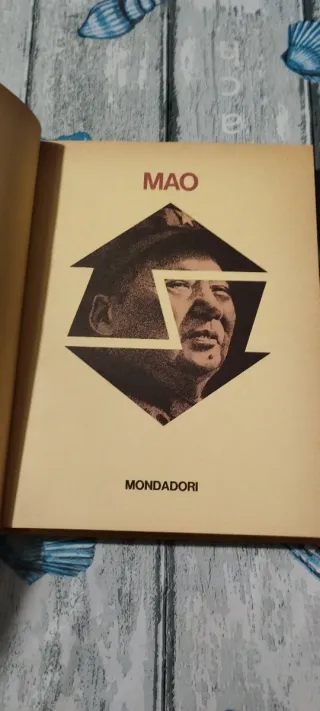 Libro Mao Tse-tung Pro e Contro