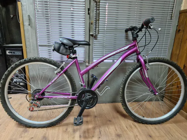 3 Bicicletas, 1 Cuadro Femenino