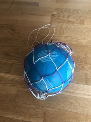 Red de baloncesto morada y blanca