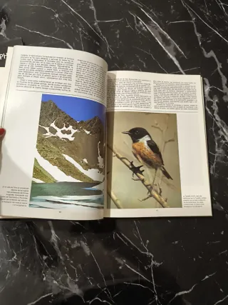 Libros ilustrados de naturaleza