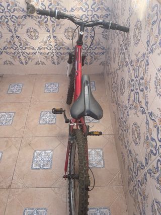 Bicicleta Montaña Free Rider 24.5