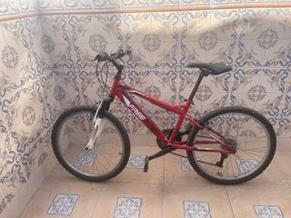 Bicicleta Montaña Free Rider 24.5