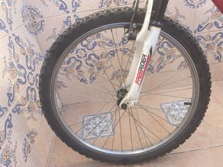 Bicicleta Montaña Free Rider 24.5