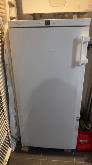 Congelador vertical Liebherr GN1923