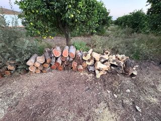 Leña para chimenea o barbacoa