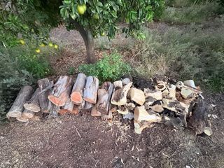 Leña para chimenea o barbacoa