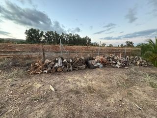 Leña para chimenea o barbacoa