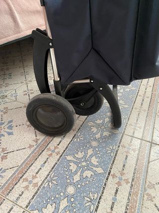 Carro de la compra Rolser Thermo