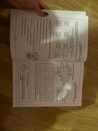 libro ortografia quinto primaria ORTOGRAF-5