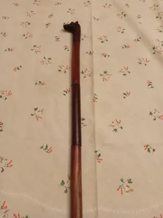 Bastone da passeggio con testa di Facocero