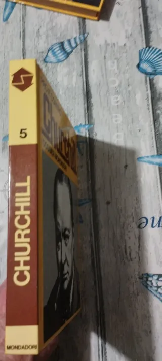 Libro Churchill Pro e Contro