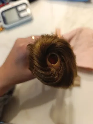 Muñeca Tressy con ropa