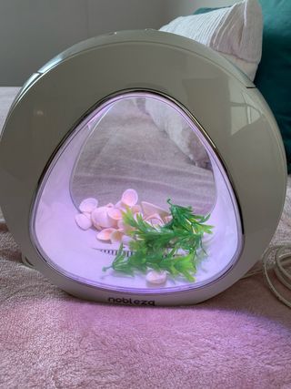 Pecera diseño moderno 4L