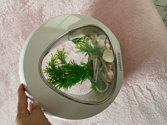 Pecera diseño moderno 4L