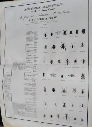 El Reino Animal de Cuvier 1827