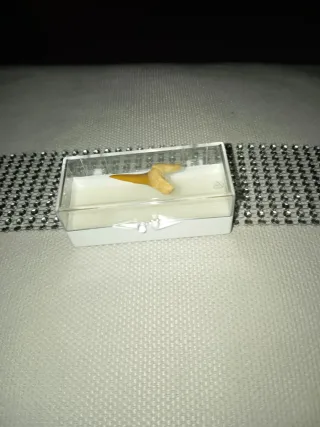 Diente de tiburón en caja
