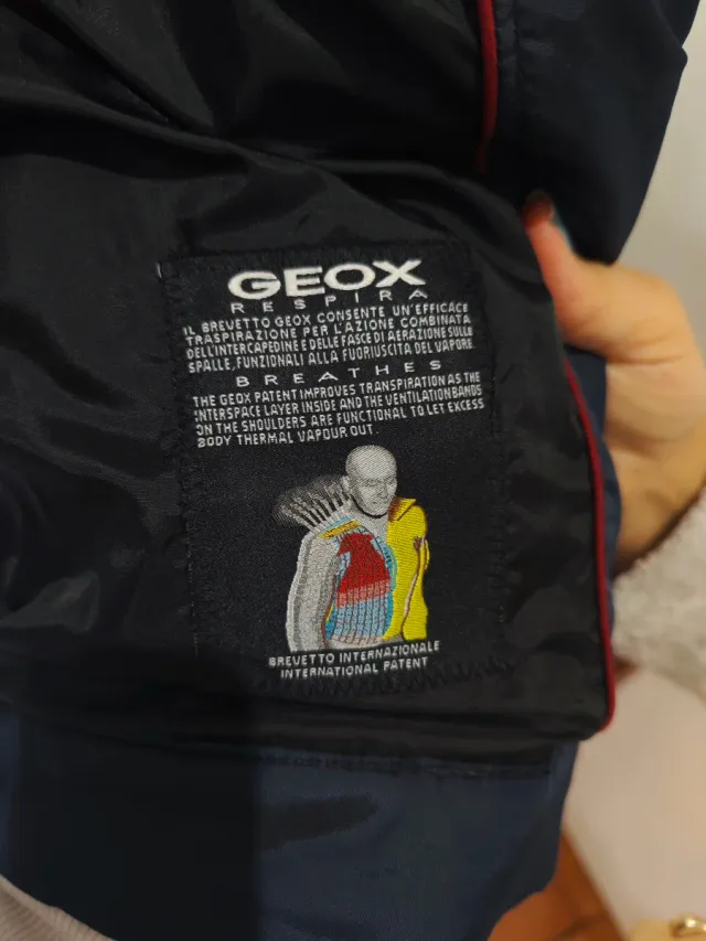 Chaqueta Geox Azul Hombre