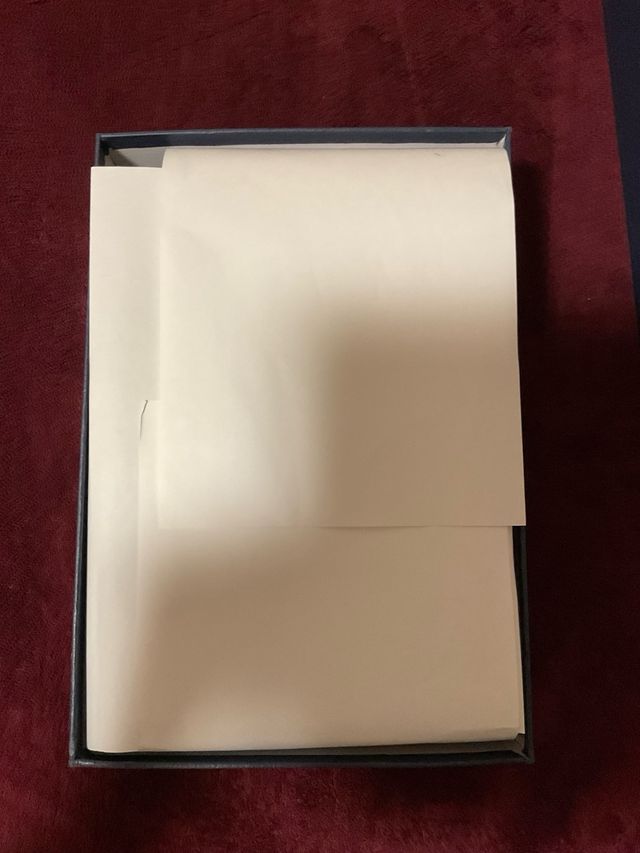 Zapatistallas Dior B30