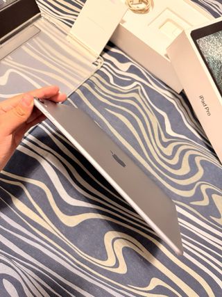 iPad Pro 10.5 256GB Wi-Fi Argento