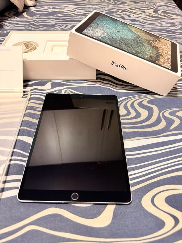 iPad Pro 10.5 256GB Wi-Fi Argento