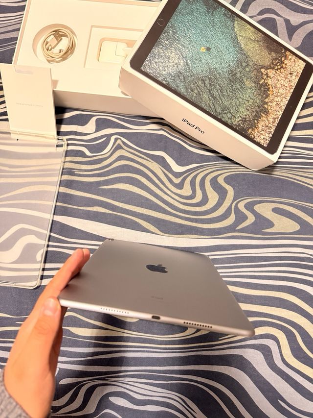 iPad Pro 10.5 256GB Wi-Fi Argento