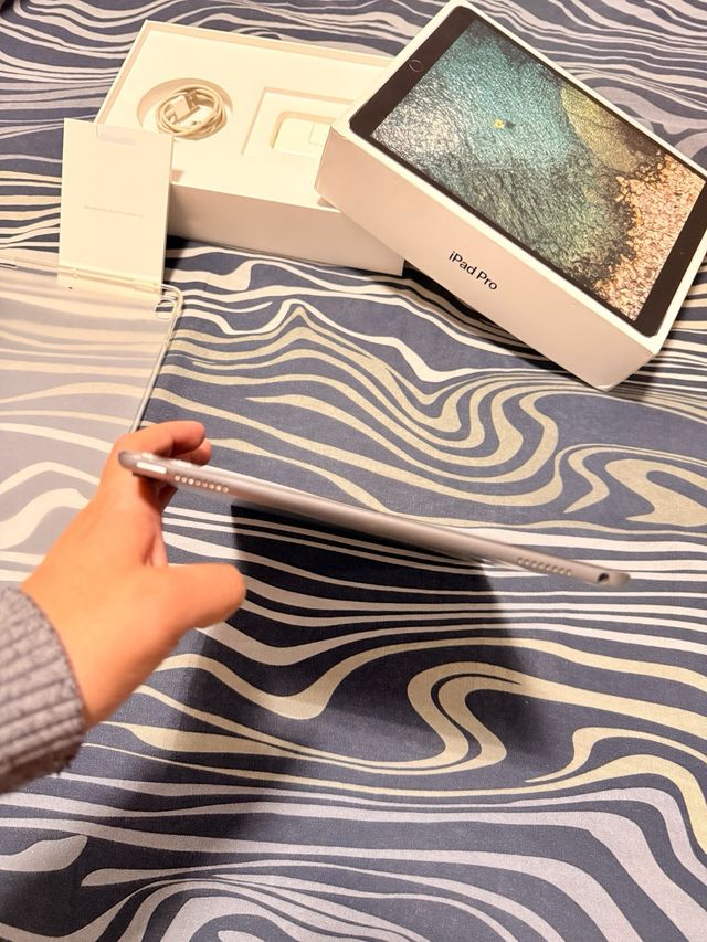 iPad Pro 10.5 256GB Wi-Fi Argento