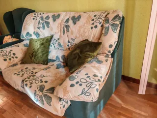 Sofá de 2 plazas estampado