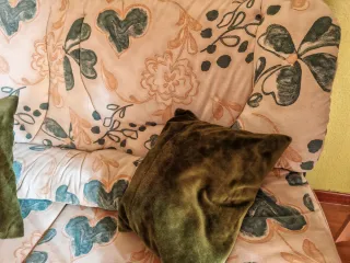 Sofá de 2 plazas estampado