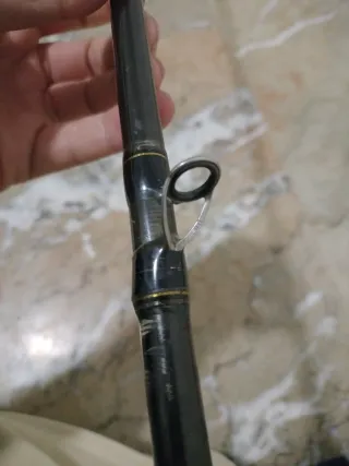 Caña de pesca casting Major Craft Benkei