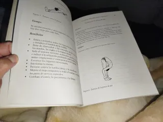 El gran libro de yoga (Spanish Edition)