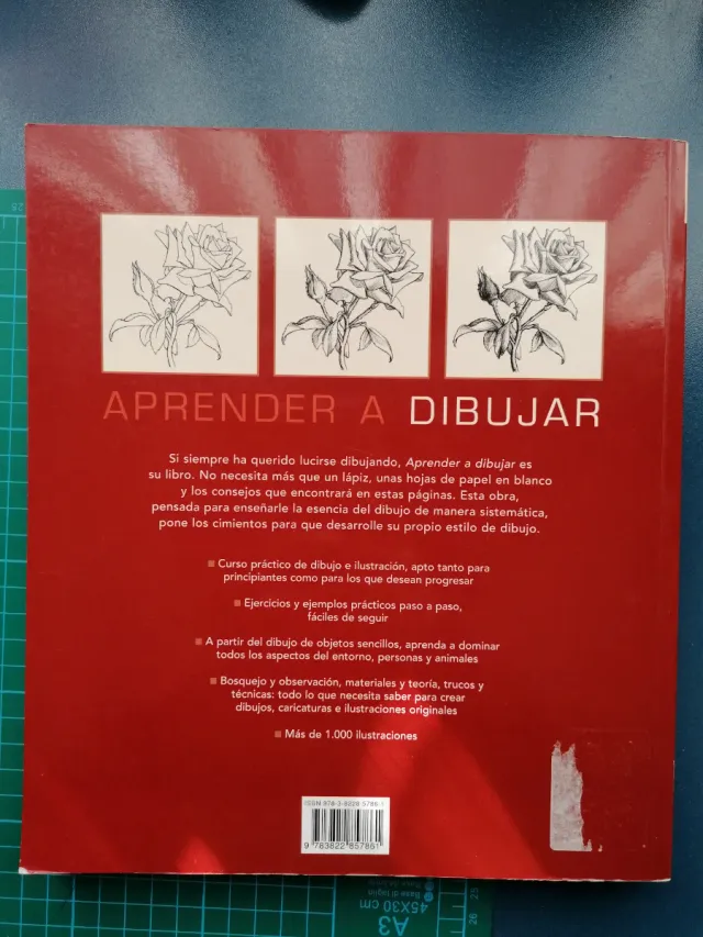 Aprender a dibujar - Peter Gray