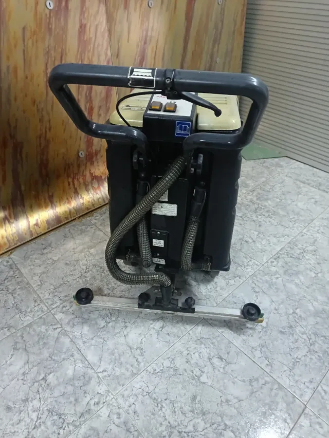 Fregadora profesional