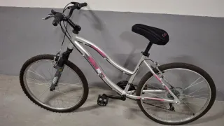 2 Bicicletas de paseo