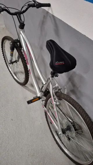2 Bicicletas de paseo