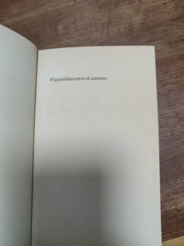 El guardián entre el centeno