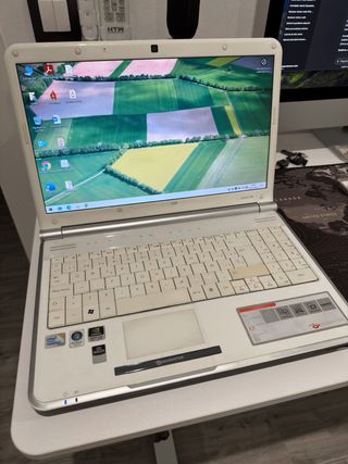Packard Bell Easynote TJ66 Portátil Gris/Plata