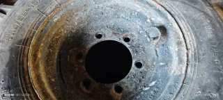 Neumáticos con llantas 11.5/80-15.3