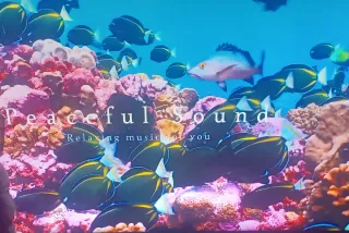 TV LG 65UB980V 65 4K Ultra HD Smart TV