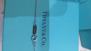 Collana Tiffany & Co. Cuore Blu Argento