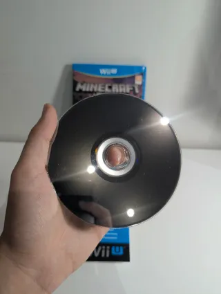 Minecraft Wii U Edition