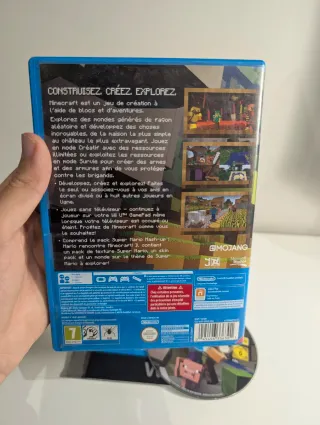 Minecraft Wii U Edition