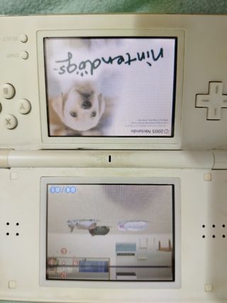 Nintendo DS Blanca