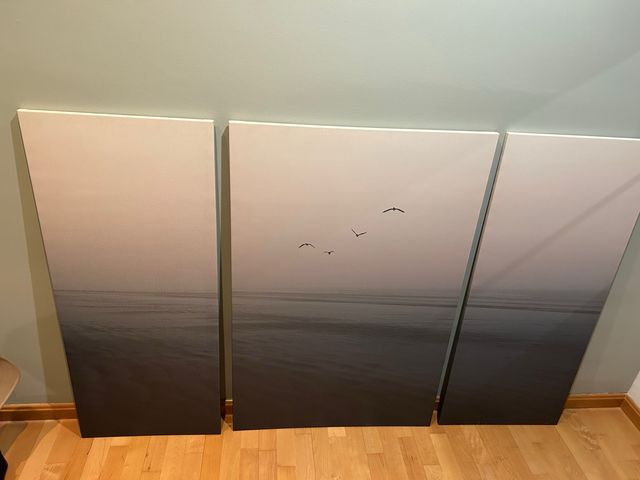 Conjunto de 3 cuadros decorativos