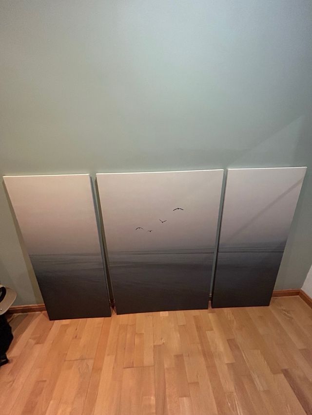 Conjunto de 3 cuadros decorativos