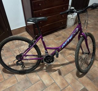 Bicicleta Morada ÖTTE