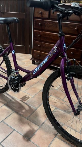 Bicicleta Morada ÖTTE