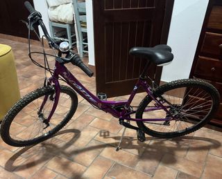 Bicicleta Morada ÖTTE